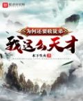 我这么天才为何还要收徒弟境界