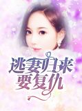 逃妻归来要复仇于静雅陆厉深