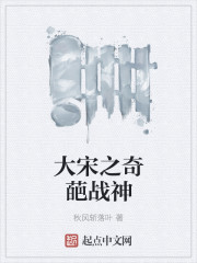 大宋之奇葩战神