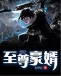 至尊豪婿