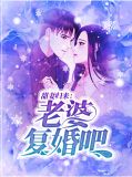 甜妻归来：老婆复婚吧洛宁夕