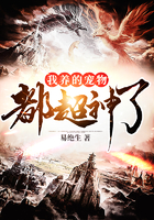 我养的宠物都超神了