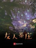 友人家茶叶