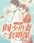 天才萌宝阎少追妻小说