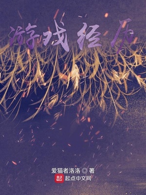 游戏经历