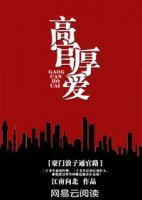 豪门浪子小说