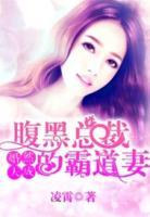 腹黑总裁的霸道妻小说