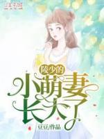 凌少的小小妻
