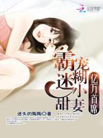亿万首席:霸宠迷糊小甜妻 迷失的陶陶