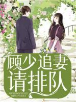 顾少追妻请排队txm