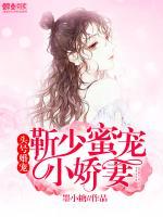 靳少的蜜宠佳妻