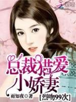 总裁猎爱小娇妻:烈吻99次小说