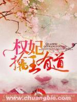 权妃小说