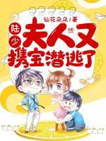 陆少夫人又把您
