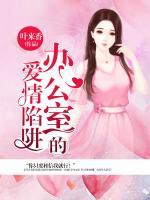办公室的爱情陷阱 小说