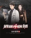 逍遥小医婿听书