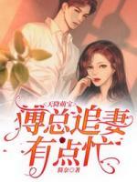 天降萌宝:傅总追妻有点忙 简奈