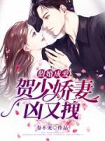 贺贺少的闪婚暖妻原著小说