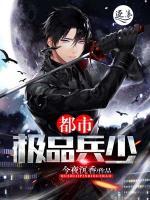 都是极品兵王