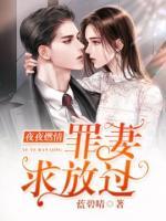 夜夜情燃,罪妻求放过