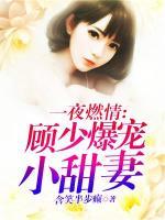 顾少一夜成婚,小说下载