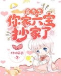 宫先生，你家六宝抄家了