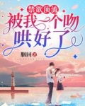禁欲顶流被我一个吻哄好了