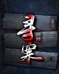 寻案[刑侦]