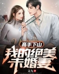 高手下山：我的绝美未婚妻