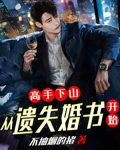 高手下山：从遗失婚书开始