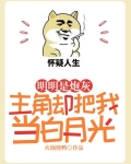 明明是炮灰,主角却把我当白月光