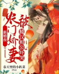 农门喜事糙汉喜欢天完整版