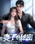 妻子的秘密吴双 小说