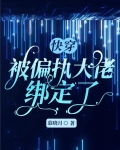 快穿：被偏执大佬绑定了