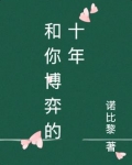 和你博弈的十年