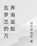 瓦罗兰的万界海盗船 月下寻自在
