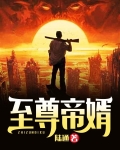 秦风林允儿