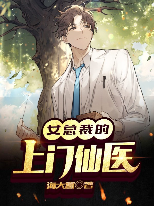女总裁的上门女婿林枫