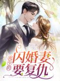 夜少的夜少的二婚新妻
