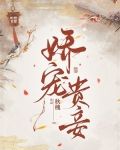 娇宠贵妾小说