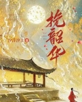 挽韶华