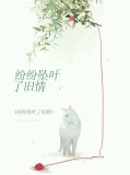 纷纷坠叶了旧情 百度网盘