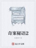 奇案手记之解谜人
